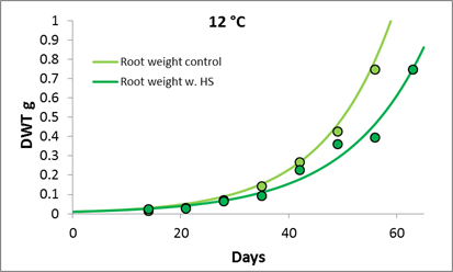 sugar beet development rate at 12°C