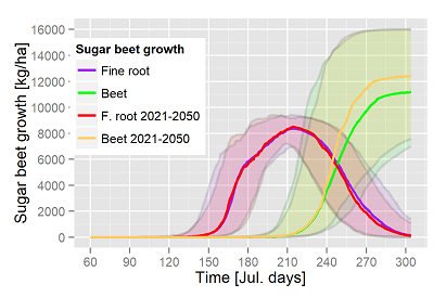 Simuliertes Zuckerrübenwachstumg von 2021-2050