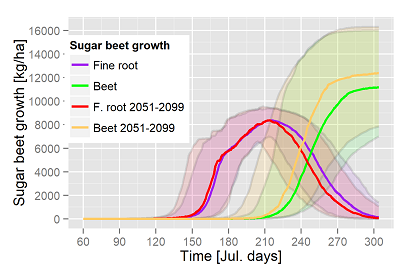 Sugar beet growth