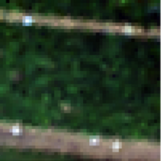 Hyperspektrales RGB Bild der Versuchsfläche